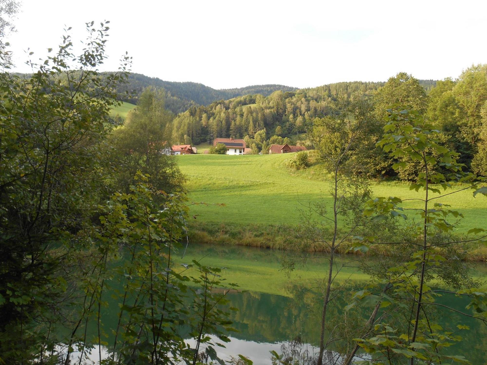 Haus Estelle Sankt Lorenzen ob Murau Exterior photo