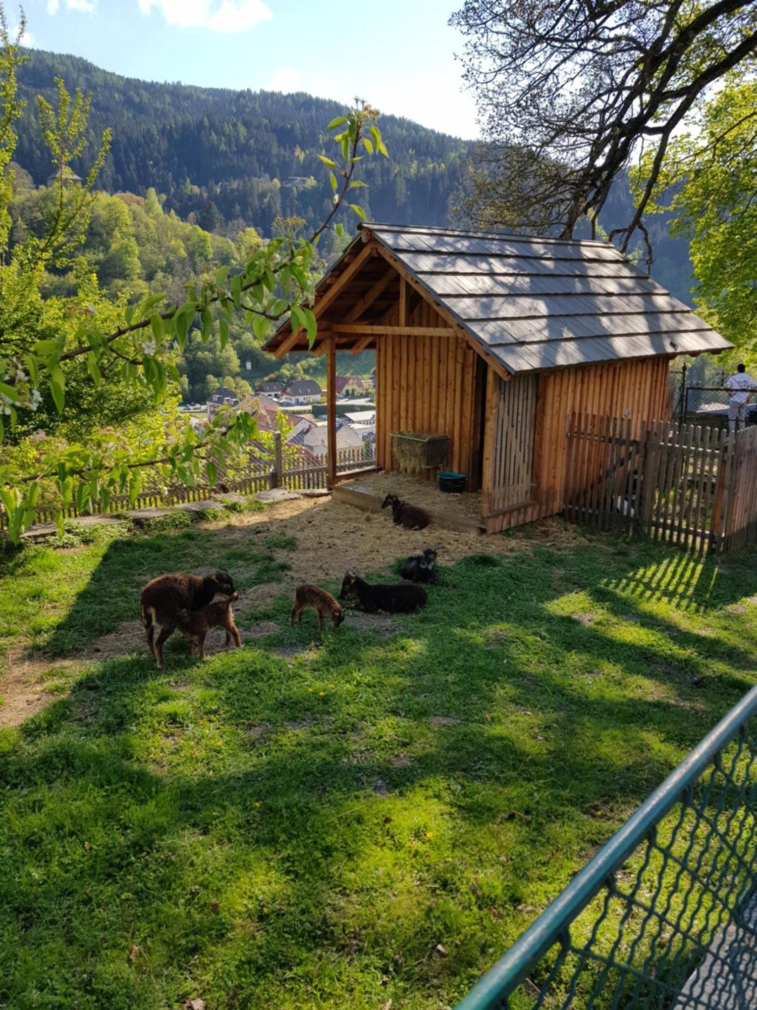 Haus Estelle Sankt Lorenzen ob Murau Exterior photo